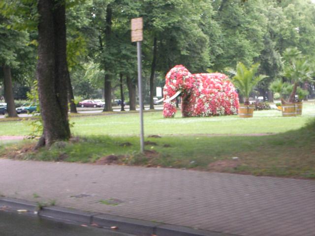 LV Zeltlager 2008 458.jpg